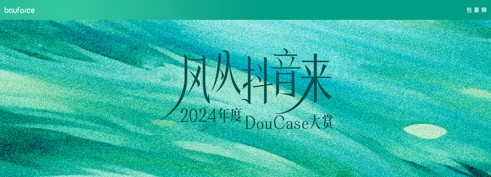 风从抖音来2024年度DouCase大赏